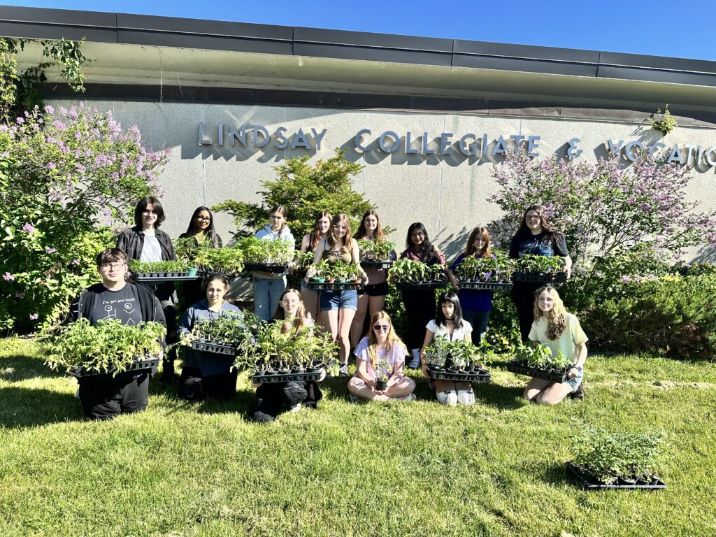 LCVI THJ Classes with tomatos and peppers for EBUW garden
